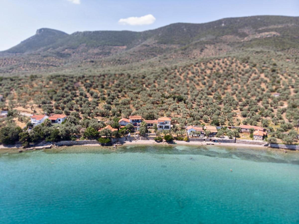 Villas Nies Seaside Appartments Sourpi المظهر الخارجي الصورة